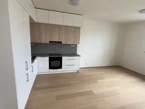 Pronájem bytu 2+kk, Praha, V třešňovce, 57 m2