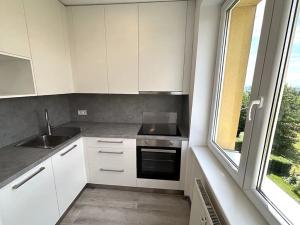 Pronájem bytu 2+kk, Ostrava, Balbínova, 48 m2