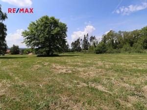 Prodej pozemku pro bydlení, Brambory, 1738 m2