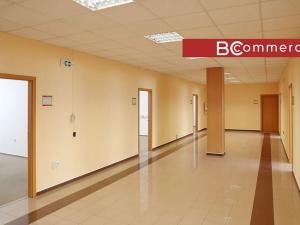 Pronájem kanceláře, Brno, 383 m2