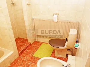 Pronájem rodinného domu, Kralupy nad Vltavou, 130 m2