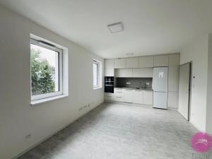 Pronájem bytu 1+kk, Olomouc, Za Kolejemi, 30 m2