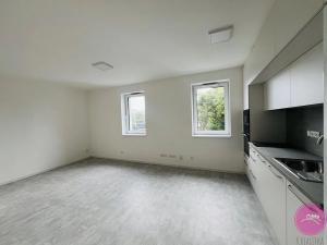 Pronájem bytu 1+kk, Olomouc, Za Kolejemi, 30 m2