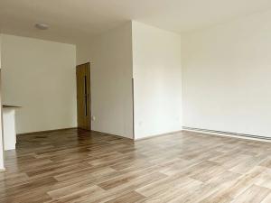 Pronájem bytu 1+kk, Dolní Poustevna, Vilémovská, 37 m2