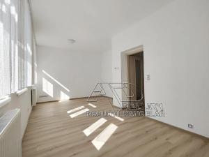 Pronájem bytu 2+kk, České Budějovice, K. Weise, 50 m2