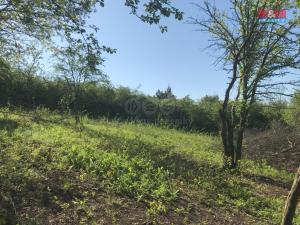 Prodej zahrady, Postoloprty - Mradice, 1582 m2