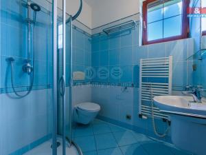 Prodej rodinného domu, Nová Role - Mezirolí, 221 m2