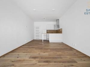 Pronájem bytu 1+kk, Brno, Francouzská, 30 m2