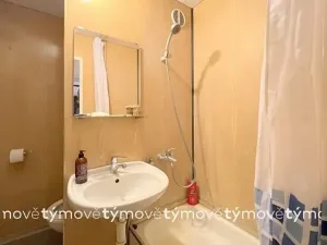 Pronájem bytu 1+1, Hradec Králové, třída Edvarda Beneše, 47 m2