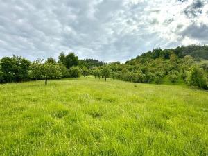 Prodej pozemku, Odry, 8311 m2