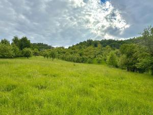 Prodej pozemku, Odry, 8311 m2