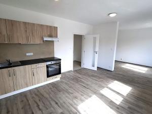Pronájem bytu 1+kk, Plzeň, Železniční, 43 m2