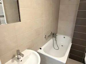 Pronájem bytu 1+kk, Plzeň, Železniční, 43 m2