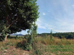 Prodej pole, Jablonné v Podještědí, 10992 m2