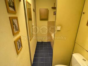 Prodej bytu 2+1, Louny, 17. listopadu, 59 m2