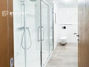 Pronájem bytu 2+kk, Teplice, Novoveská, 54 m2
