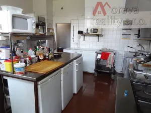 Pronájem restaurace, Brno, Lýskova, 400 m2