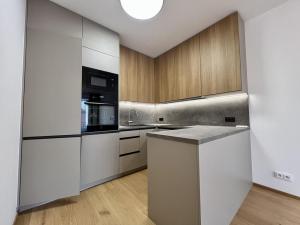 Pronájem bytu 2+kk, Praha - Nusle, Muzikova, 60 m2