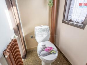 Prodej rodinného domu, Dolní Poustevna - Horní Poustevna, 160 m2