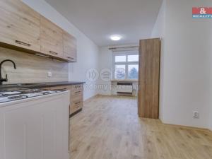 Pronájem bytu 2+kk, Plzeň - Lobzy, Masarykova, 43 m2