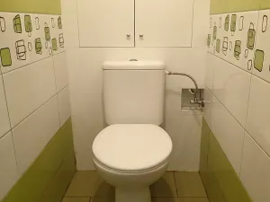 Prodej rodinného domu, Hlinsko, Srnská, 117 m2
