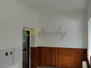 Dražba bytu 1+1, Dolní Olešnice, 96 m2