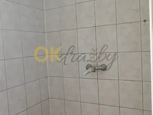 Dražba bytu 2+1, Újezd pod Troskami, 64 m2