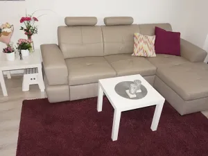 Pronájem bytu 1+kk, Brno, Řípská, 40 m2
