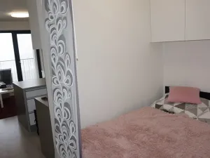 Pronájem bytu 1+kk, Brno, Řípská, 40 m2