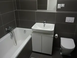 Pronájem bytu 1+kk, Brno, Řípská, 40 m2