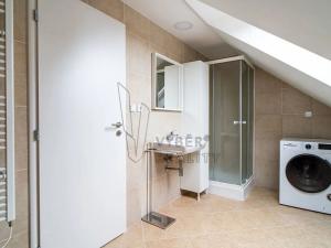 Pronájem bytu 1+kk, Ostrava, Cihelní, 50 m2