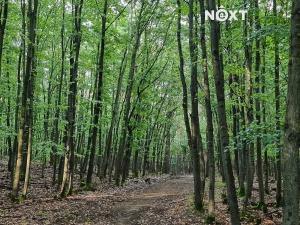 Prodej bytu 1+kk, Praha - Zbraslav, Elišky Přemyslovny, 43 m2