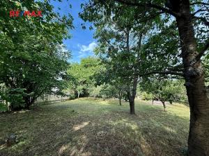 Prodej chalupy, Kralovice, 100 m2
