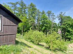 Prodej chaty, Albrechtice, 381 m2