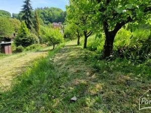 Prodej chaty, Albrechtice, 381 m2