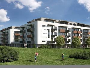 Pronájem bytu 2+kk, Olomouc, Aloise Rašína, 50 m2