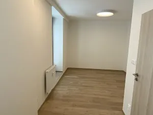 Pronájem bytu 1+kk, Ostrava, 30. dubna, 23 m2