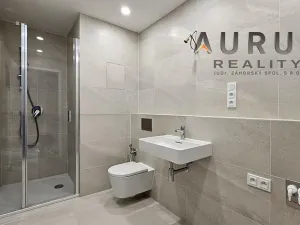 Pronájem bytu 1+kk, Praha - Nusle, Bělehradská, 42 m2