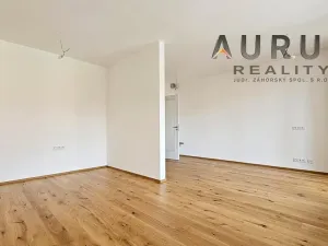 Pronájem bytu 1+kk, Praha - Nusle, Bělehradská, 42 m2