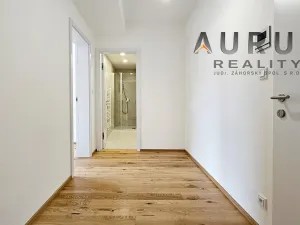 Pronájem bytu 1+kk, Praha - Nusle, Bělehradská, 42 m2