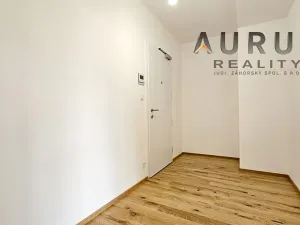 Pronájem bytu 1+kk, Praha - Nusle, Bělehradská, 42 m2