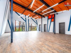 Pronájem obchodního prostoru, Okrouhlo, 1076 m2