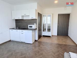 Pronájem bytu 1+kk, Pardubice - Semtín, 28 m2