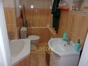 Pronájem bytu 1+1, Teplice, Palackého, 35 m2