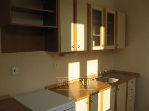 Pronájem bytu 1+1, Teplice, U Hadích lázní, 45 m2