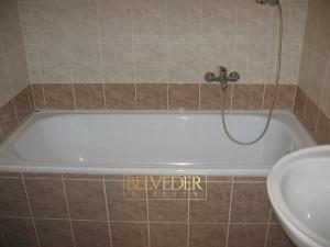 Pronájem bytu 1+1, Teplice, U Hadích lázní, 45 m2