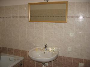 Pronájem bytu 1+1, Teplice, U Hadích lázní, 45 m2