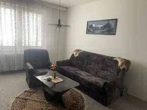 Pronájem bytu 2+1, Velké Bílovice, 58 m2