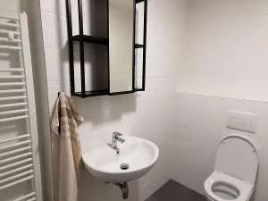 Prodej bytu 1+kk, Pardubice, Východní, 32 m2