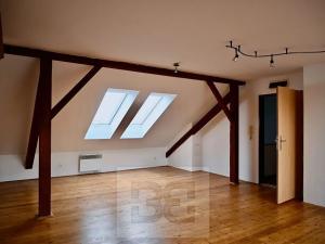 Pronájem bytu 1+kk, Vyškov, 50 m2